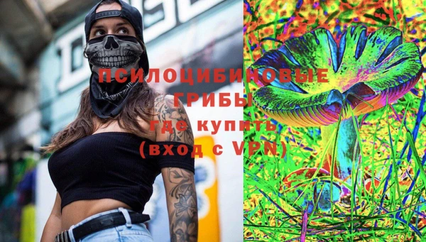 прущие грибы Алексин