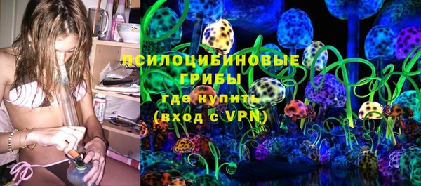 прущие грибы Алексин