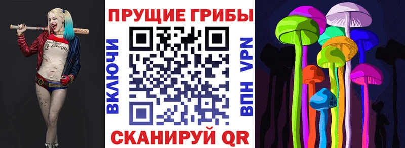 OMG вход Дзержинский Галлюциногенные грибы ЛСД